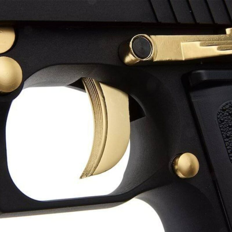 WE AW Desert Eagle L6 Gold Siyah GBB Airsoft Tabanca - Görsel 5