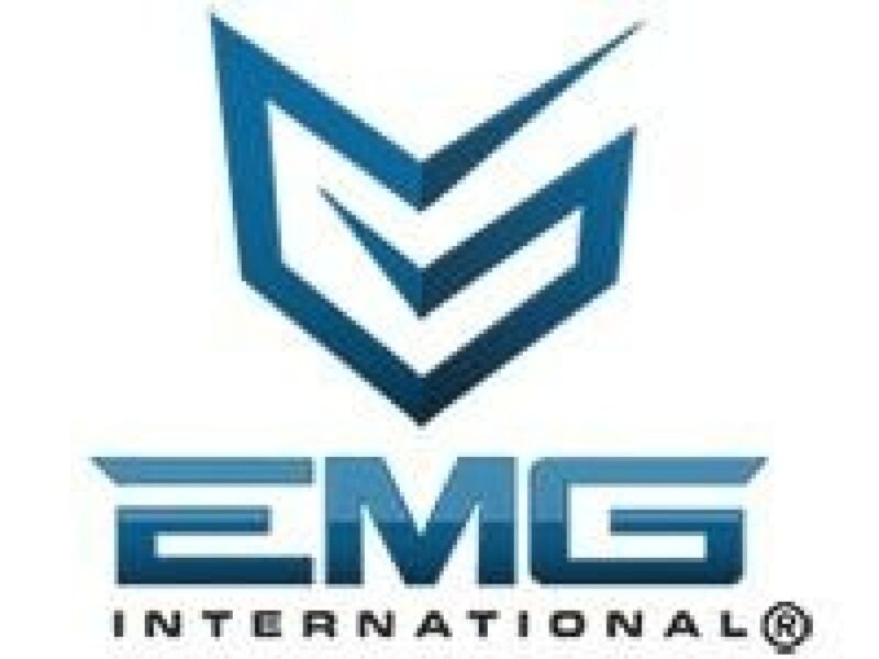 EMG Daniel Defense Lisanslı DDM4 Platinum QBS Siyah AEG Airsoft Tüfek - Görsel 7